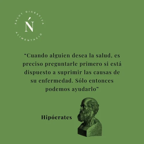 dietista nutricionista hipocrates dietista nutricionista hipocrates